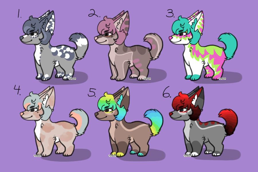 [ adopts ] open 6/6