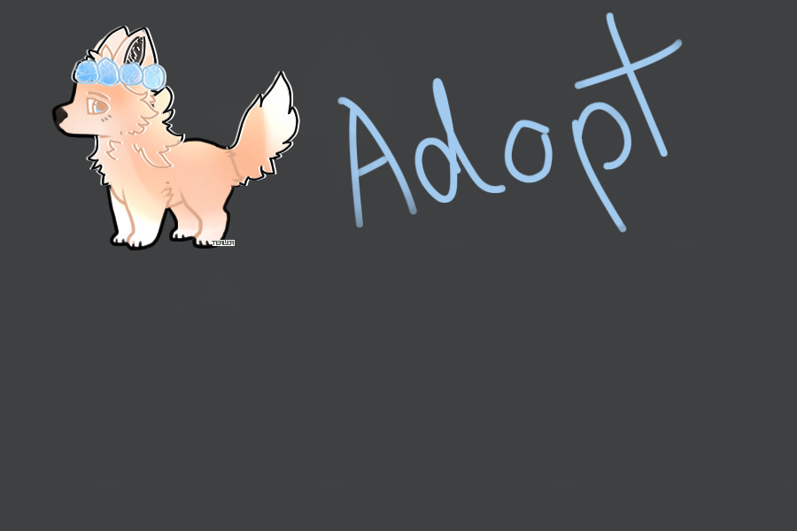 Dog Adopt #1