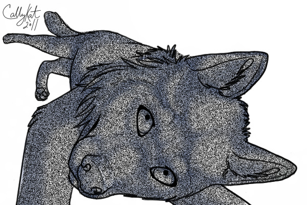 Wip