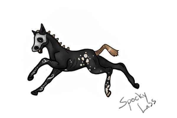 Foal 2