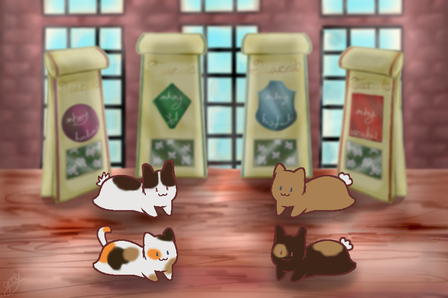 Teakitten CKS [002]