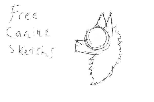 Free Canine Sketchs