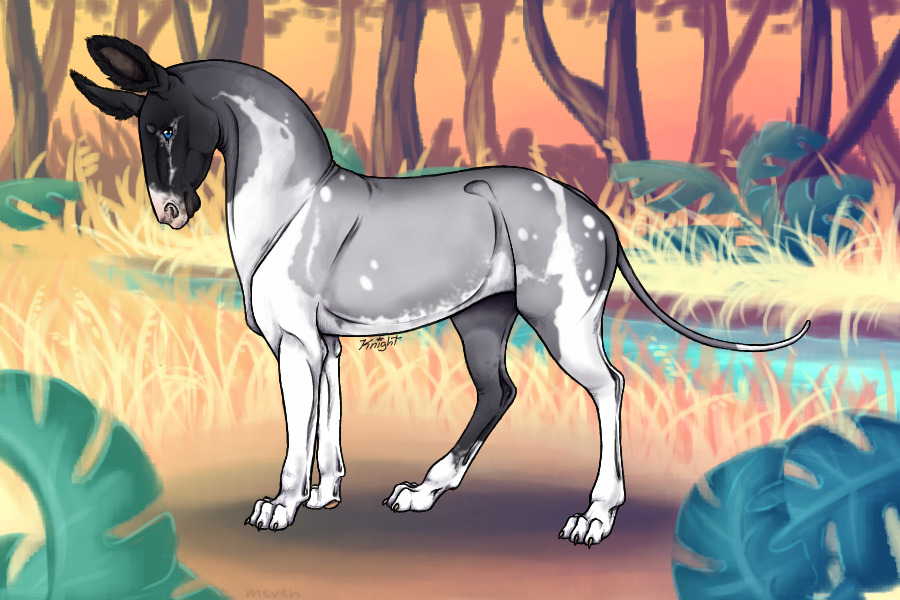 #172 breeding
