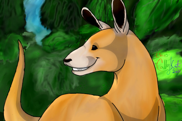 Kangaroo in jungle