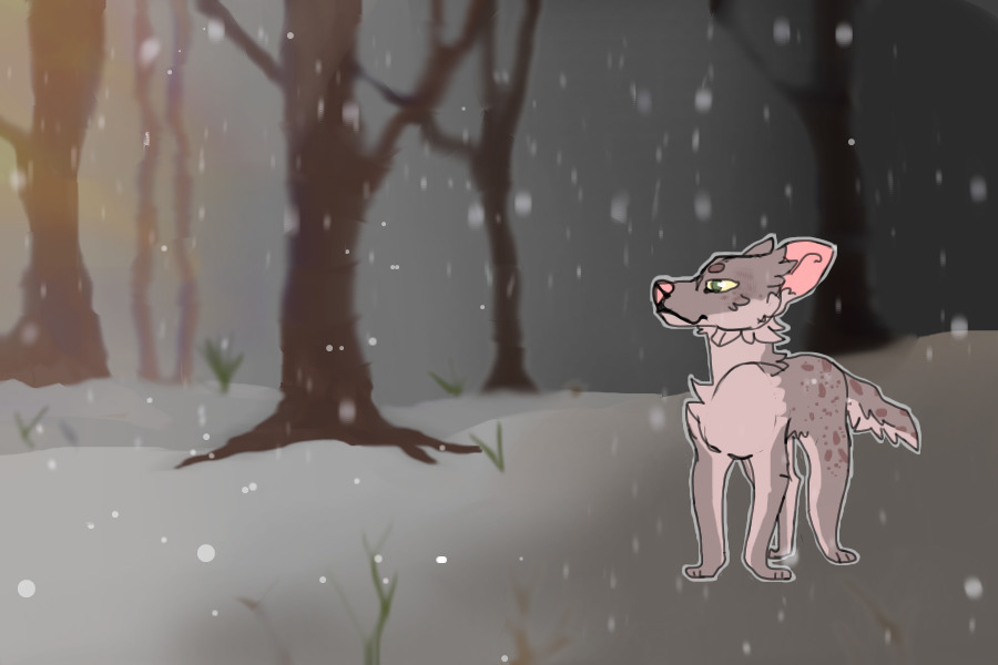 sahlo folina UFA C$10