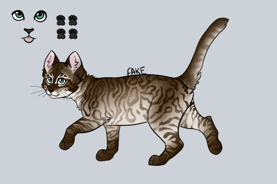 [Entry 5] Charcoal snow bengal