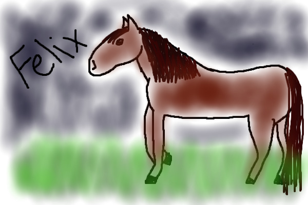 Felix The Horse