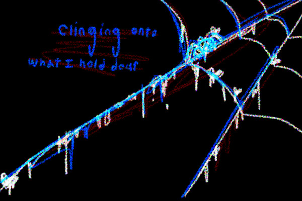 I suppose I'm a spider's web