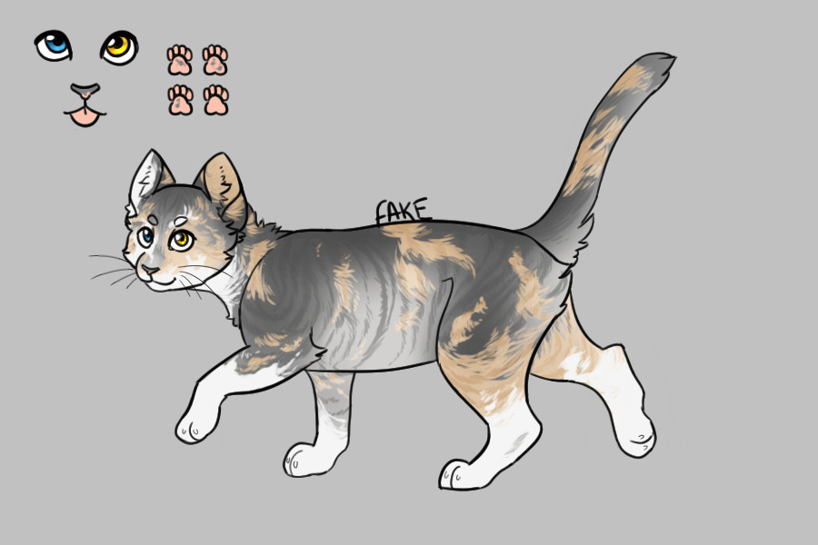 [Entry 6] Dilute torbie with white