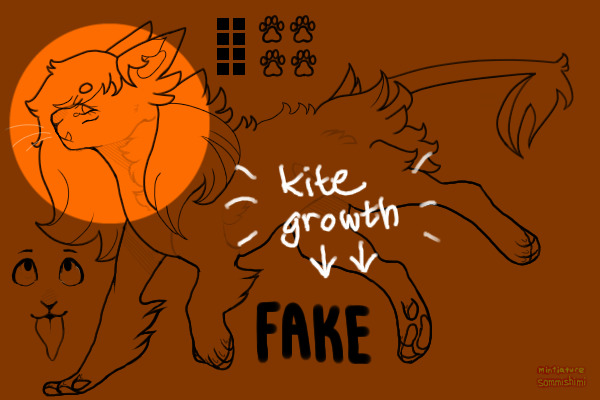 kite growth