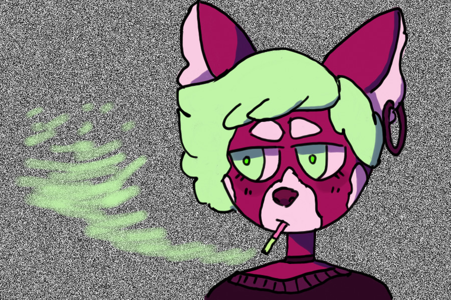 Watermelon Red Panda