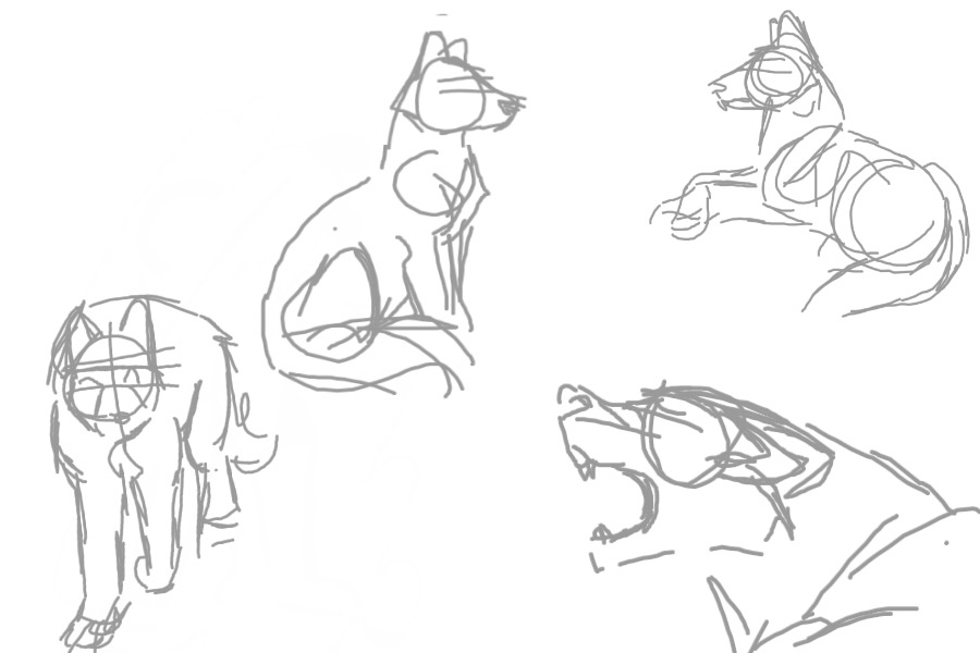 Some wolf sketches