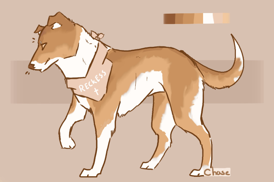 Closed - gifted | feral smooth collie design \\
