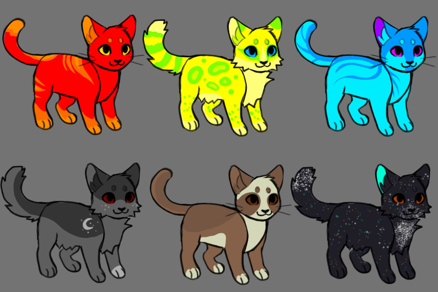 Free cat adopts