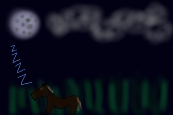 Silent Meadow Night