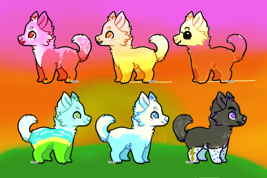Weather pup Adoptables