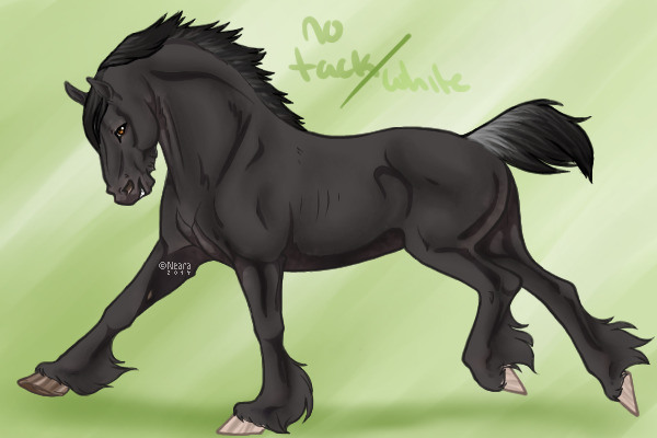 Eq- Tabadok w/o tack/white