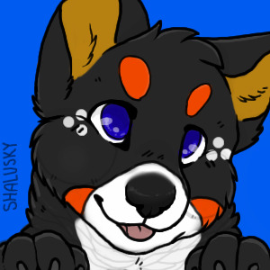 Shadow Re-color