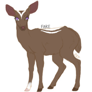 Teak Deer Artist Search -- Entry Two