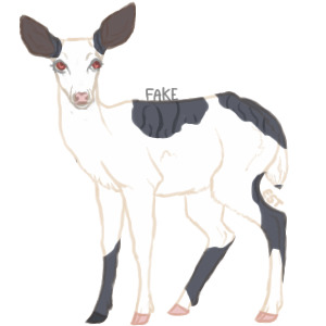 Teak Deer Artist Search -- Entry Three