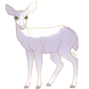 Teak Deer - #029
