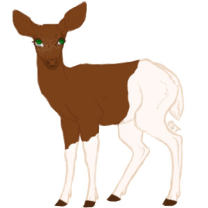Teak Deer - #030 - UFA
