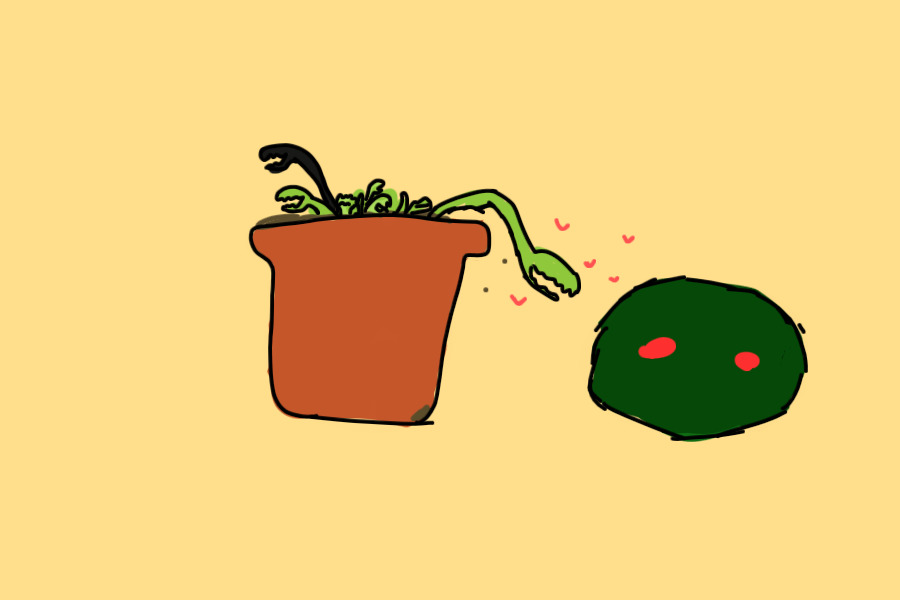 gay plants