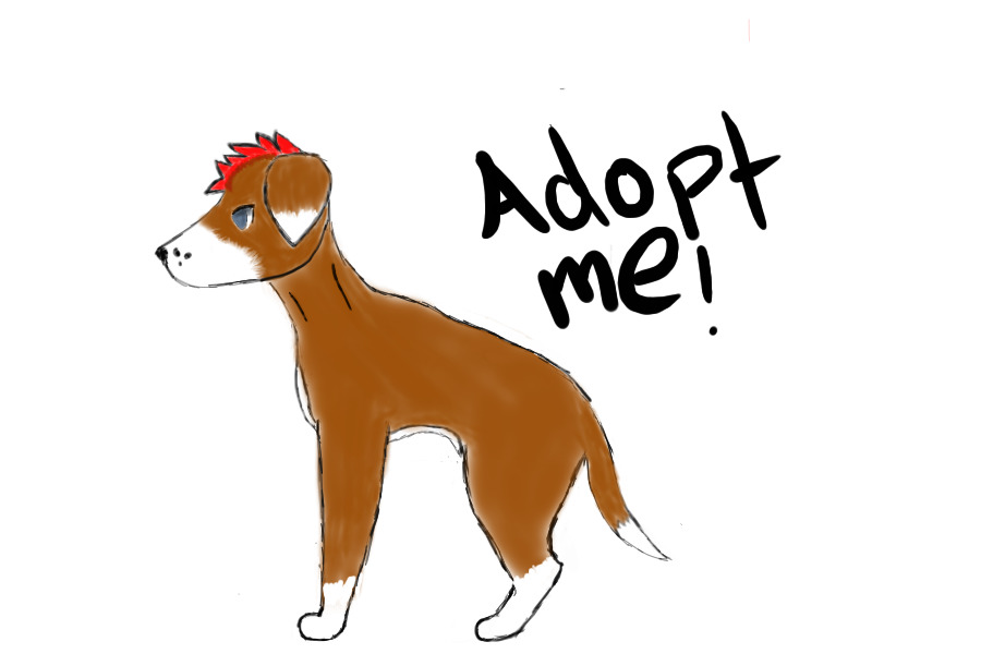 Adoptable doggo(Ended)