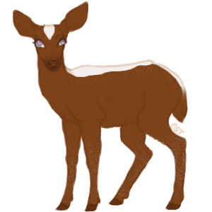 Teak Deer - #037