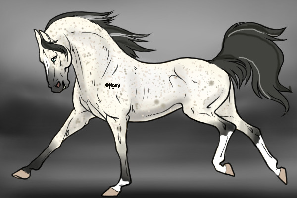 Horse <3