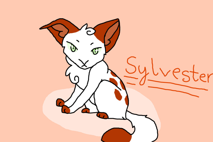 Sylvester
