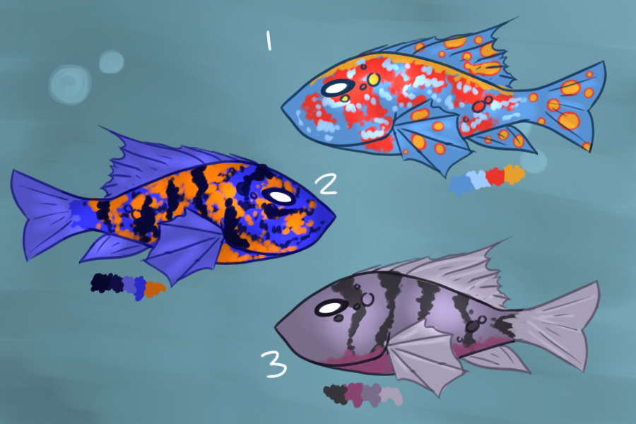 The Fish Pond - #7 Cichlid