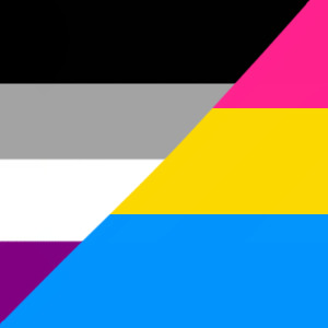 Grey/Ace + Pansexual