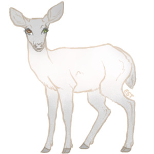 Teak Deer - #039