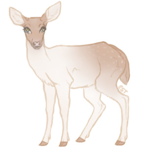 Teak Deer - #043