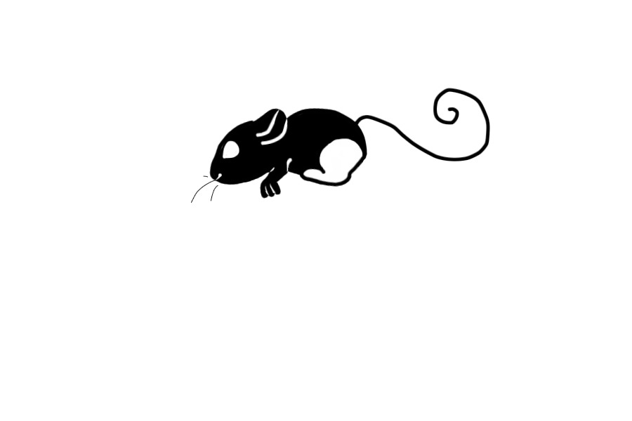 Animal Doodle #2 - Kangaroo Mouse Thing