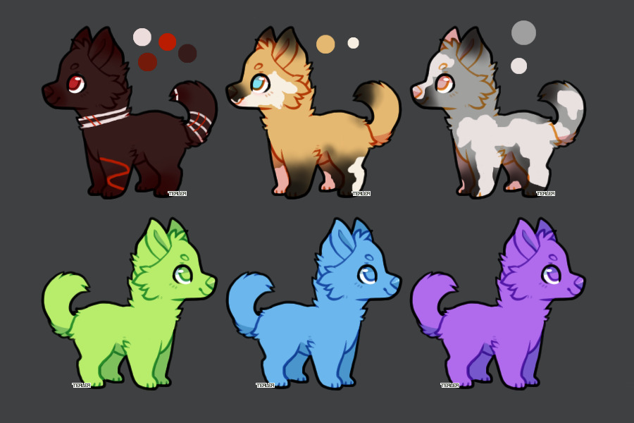 cheap cute adopts