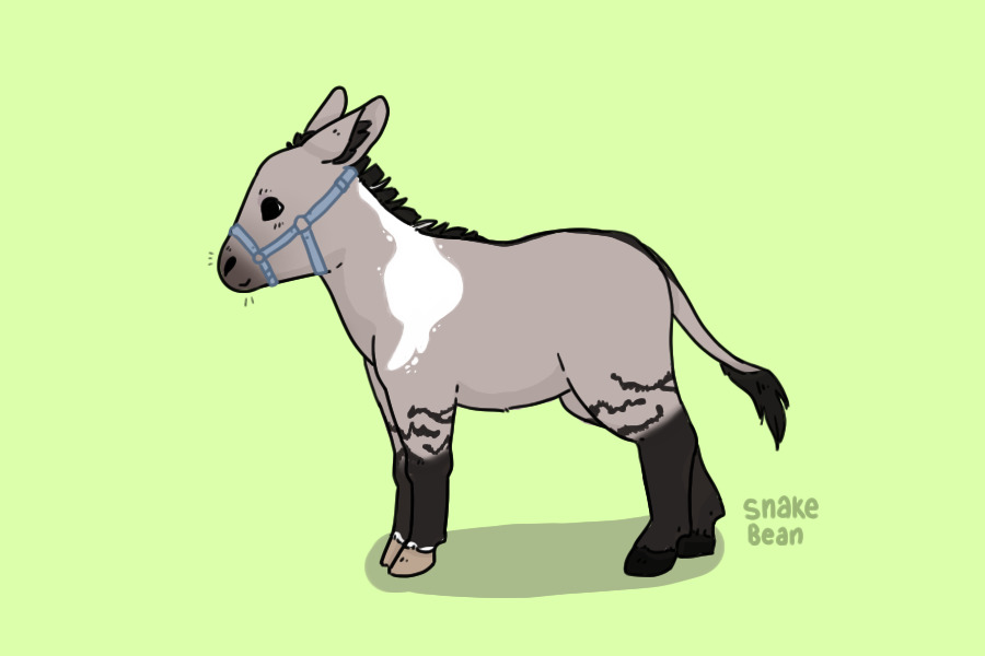 Dilly Donkey #29