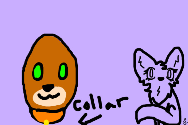 Colored in egg