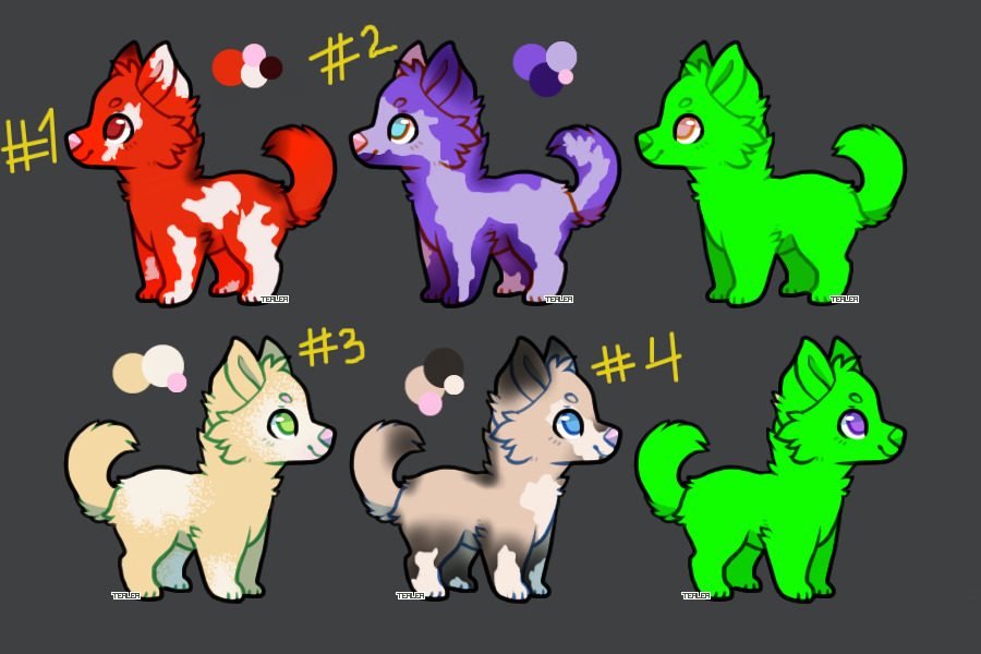 cute cheap adopts