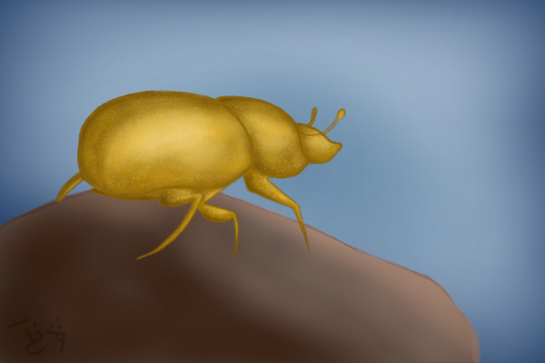 Beetle!