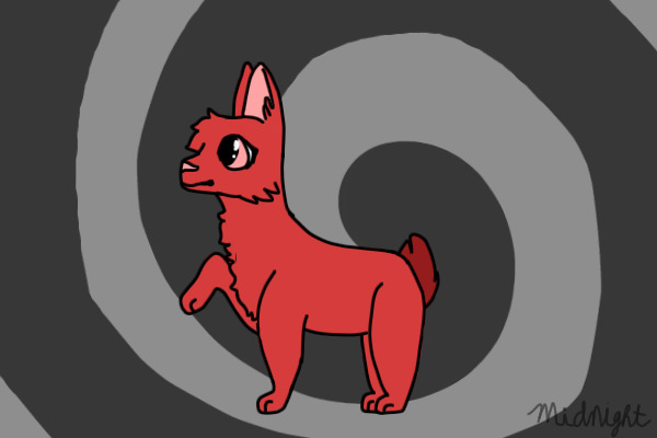 Paapins - Open Species