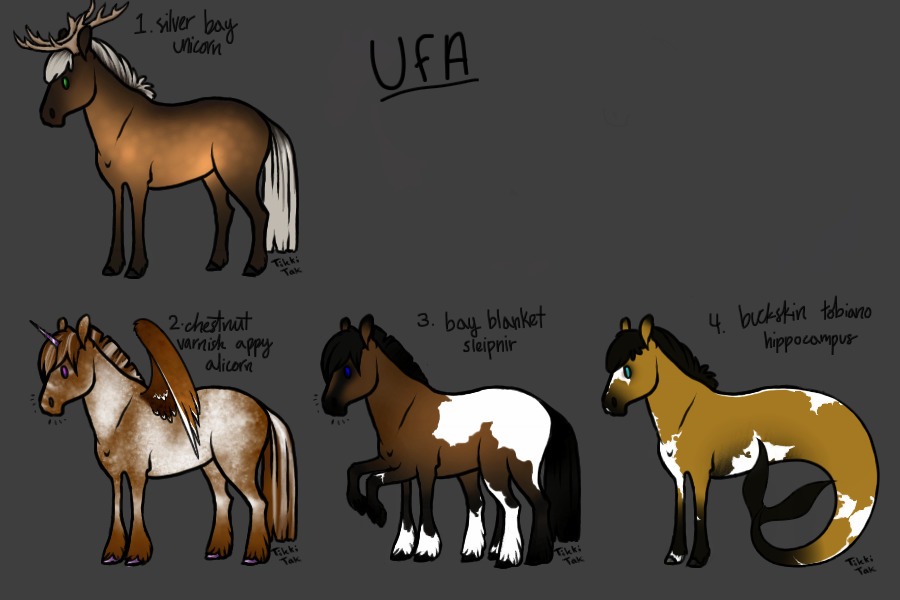 ponies for auction
