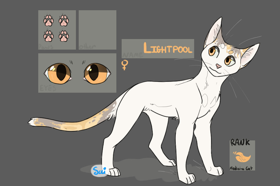 Lightpool - Medicine Cat of Cinderclan