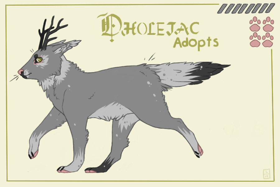 ✤ Dholejac Adopts ✤ Now Open!