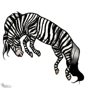 Jumping zebra