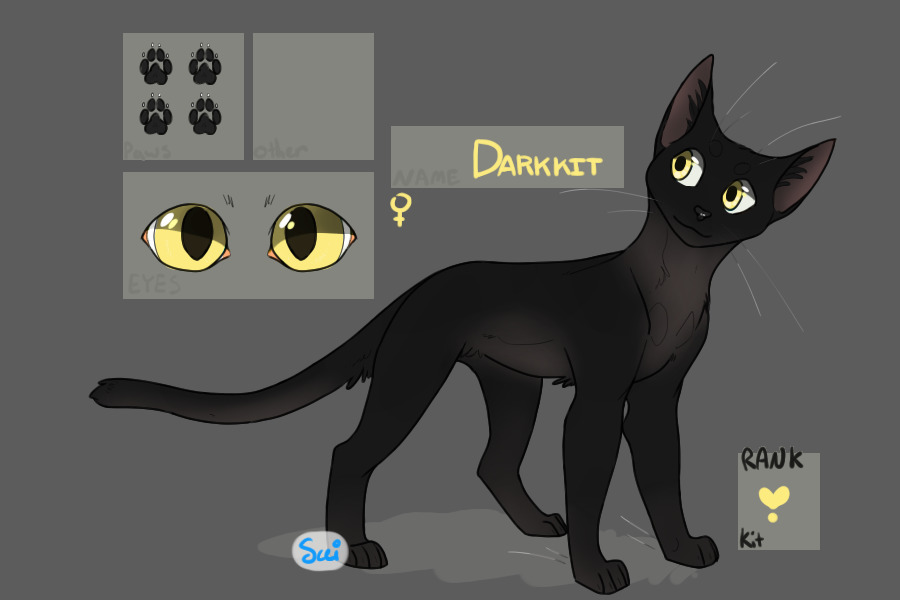 Darkkit - Kit of Cinderclan
