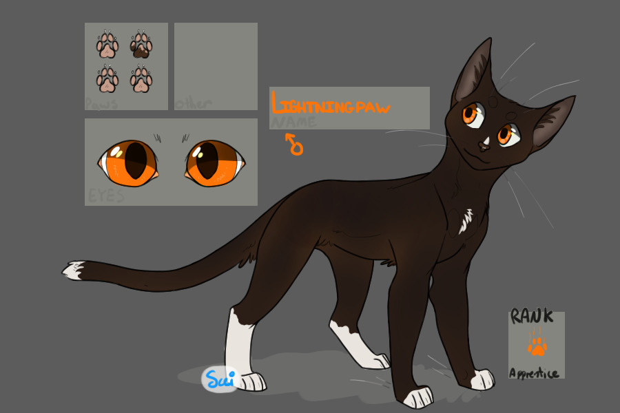 Lightningpaw - Apprentice of Cinderclan