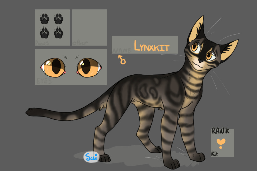 Lynxkit - Kit of Cinderclan