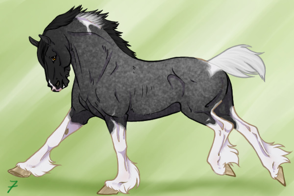 Draft shop- true blue roan tobiano #07
